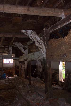 weitere Bilder