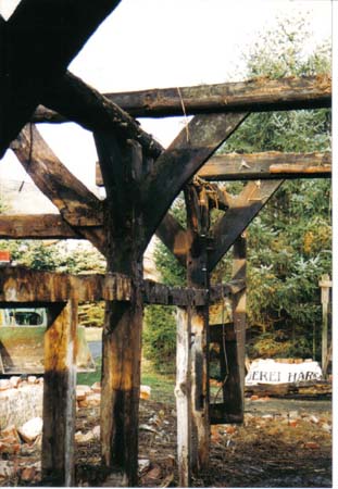 weitere Bilder
