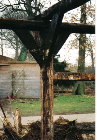 Todtgluesingen3