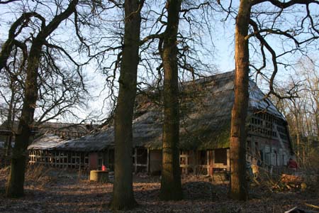 Wallhoefen-1422