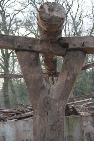 Wallhoefen-1696