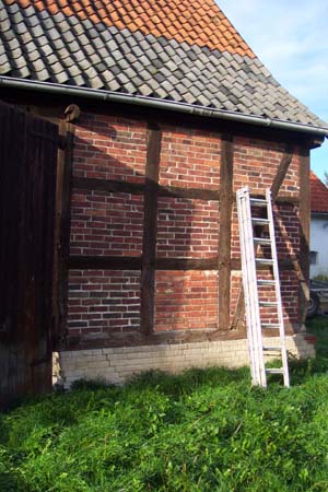 BruchhausenVilsenMeyer-1734