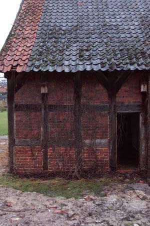 Hiddingen-5414