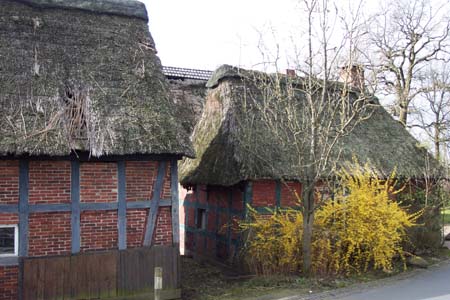 Wummensiede-5447